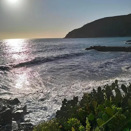 Cinque Terre Private *